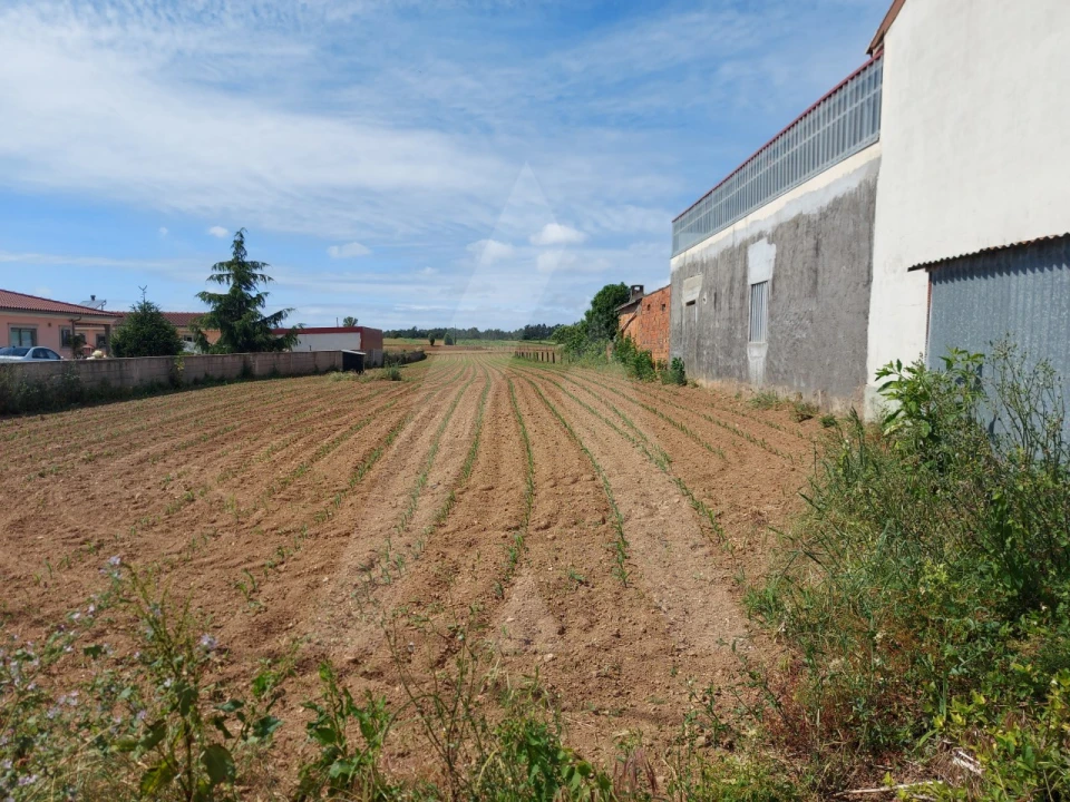 Terreno para Venda em Branca Foto 4