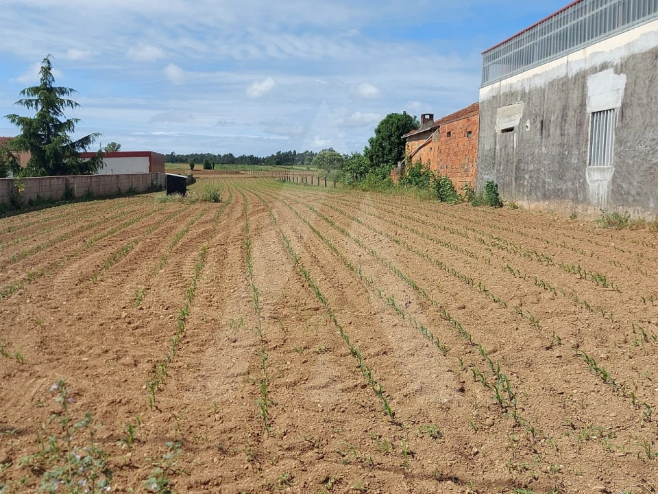 Terreno para Venda em Branca Foto 9