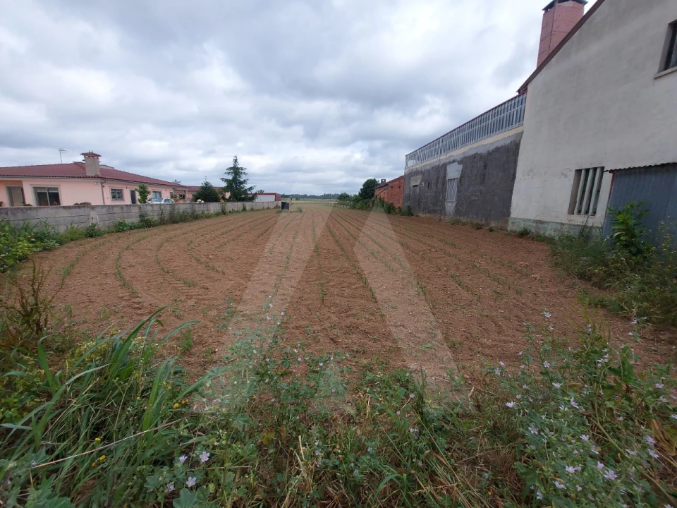 Terreno para Venda em Branca Foto 10