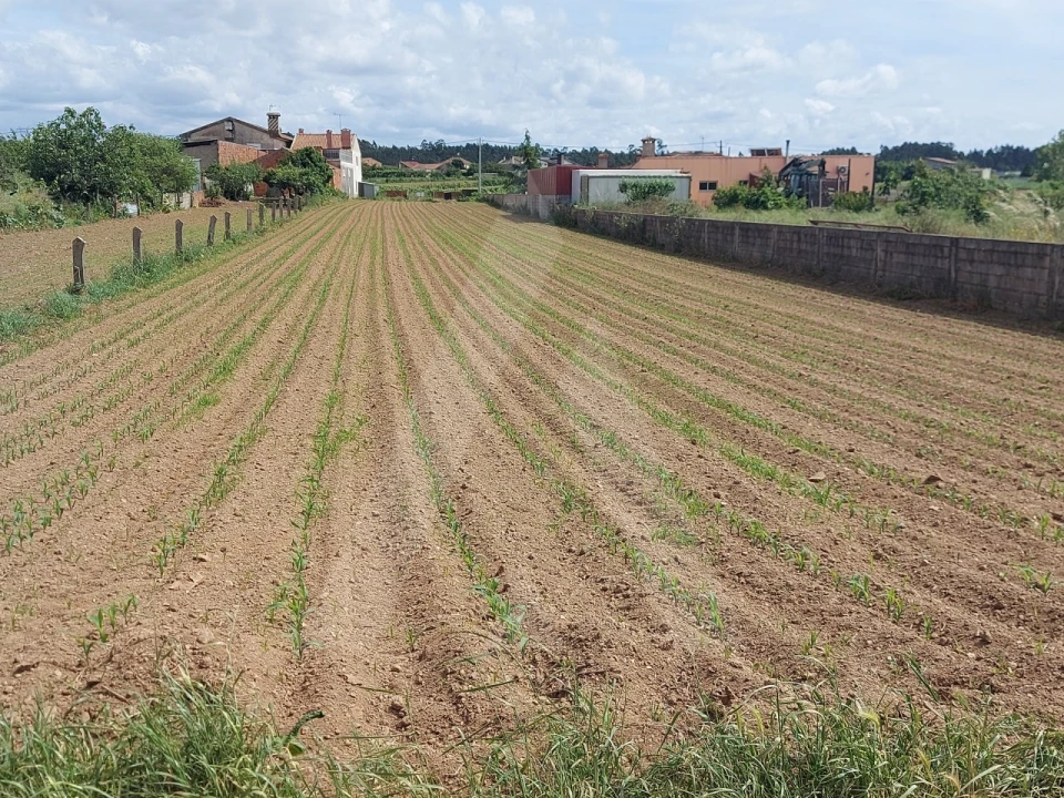 Terreno para Venda em Branca Foto 13