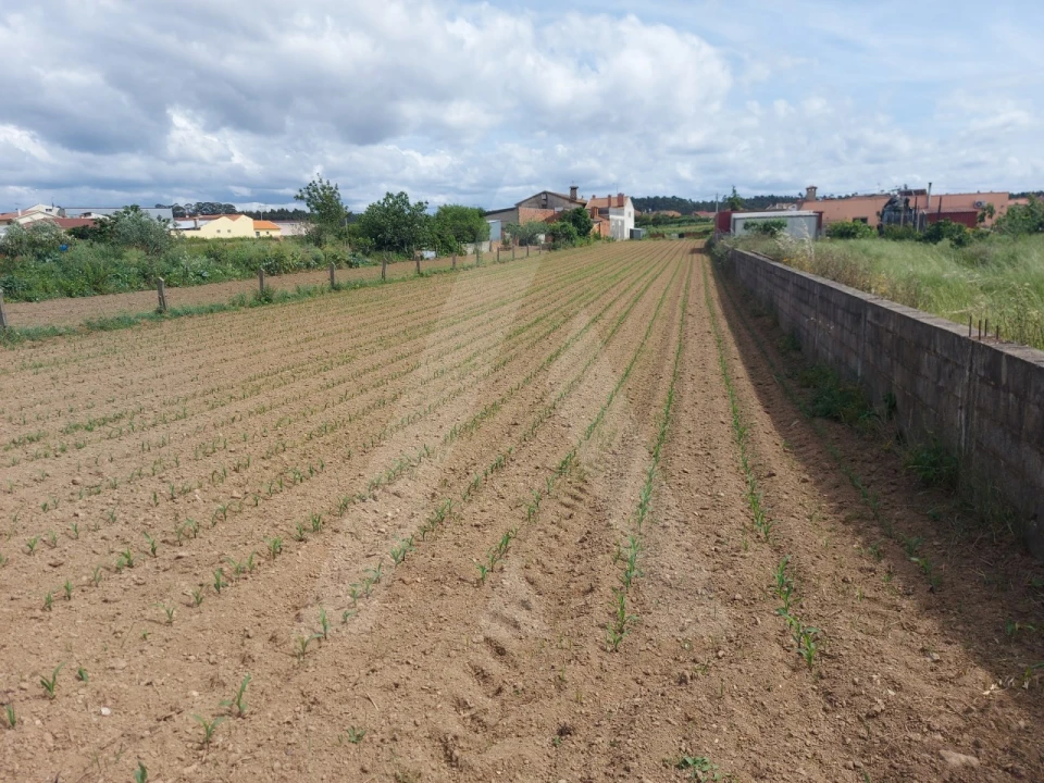 Terreno para Venda em Branca Foto 16