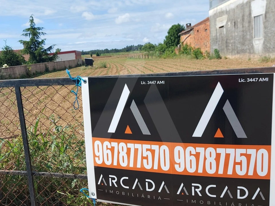 Terreno para Venda em Branca Foto 17