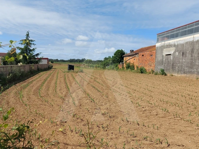 Terreno para Venda em Branca Foto 5