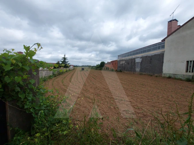 Terreno para Venda em Branca Foto 11