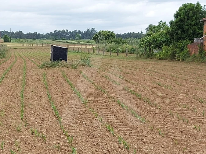 Terreno para Venda em Branca Foto 12