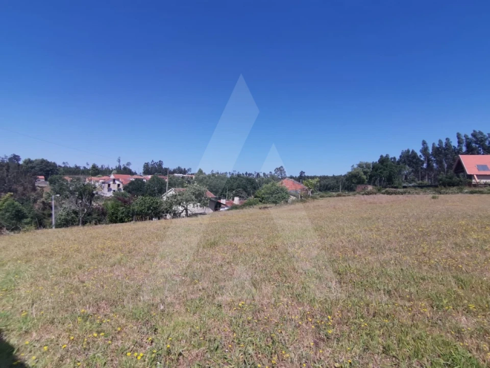 Terreno para Venda em Albergaria-A-Velha e Valmaior Foto 1