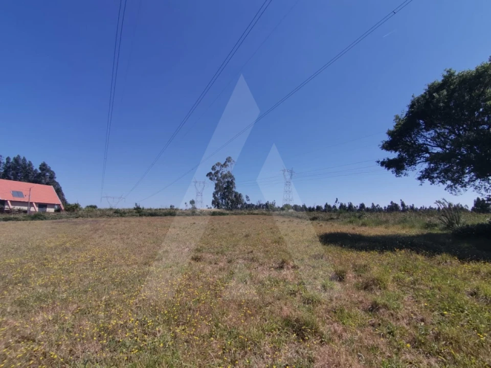 Terreno para Venda em Albergaria-A-Velha e Valmaior Foto 4