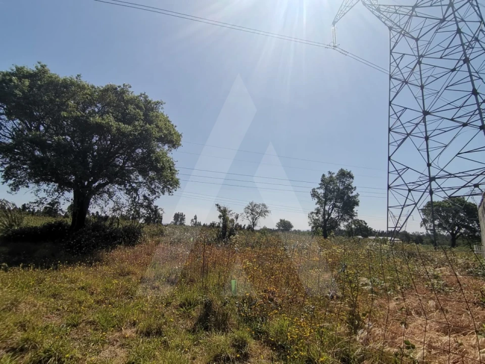 Terreno para Venda em Albergaria-A-Velha e Valmaior Foto 9