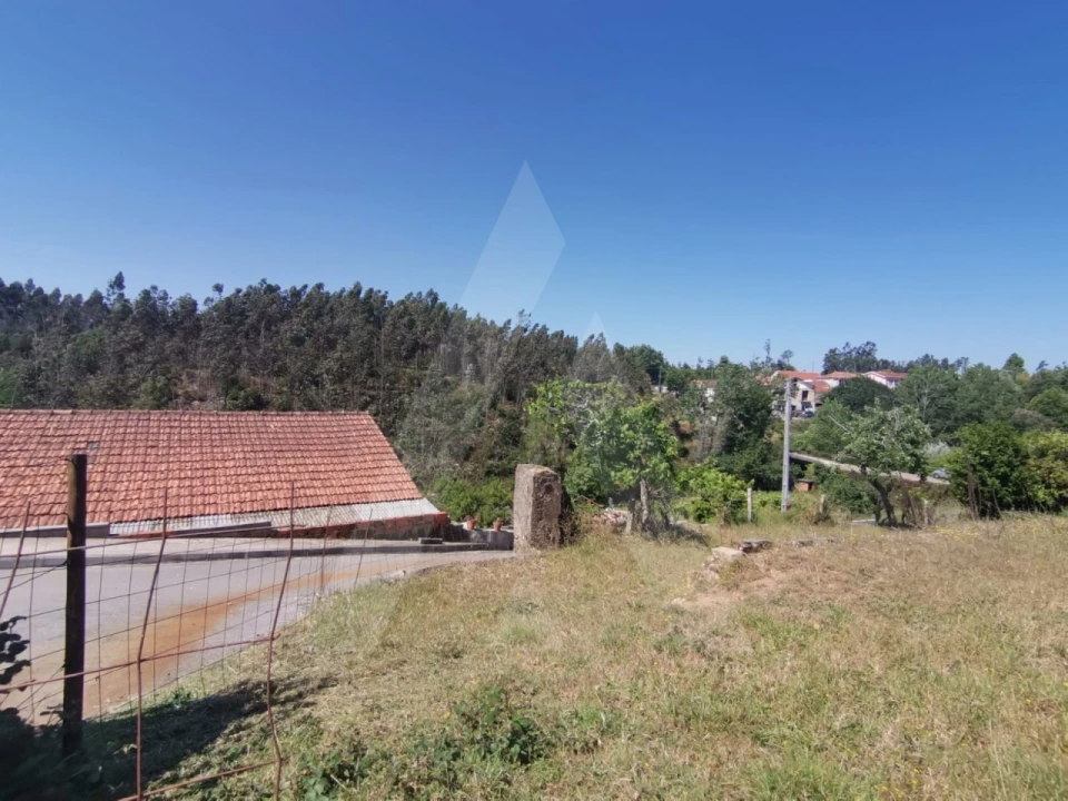 Terreno para Venda em Albergaria-A-Velha e Valmaior Foto 10