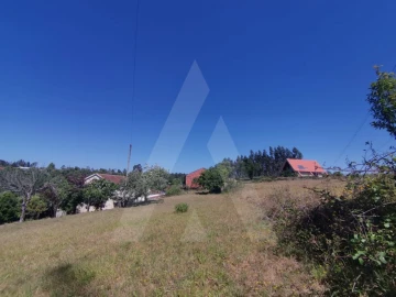 Terreno para Venda em Albergaria-A-Velha e Valmaior