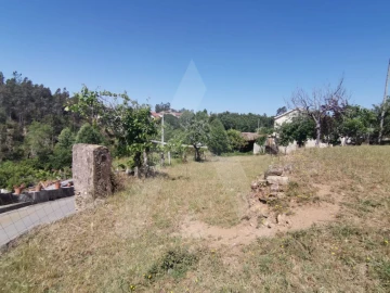 Terreno para Venda em Albergaria-A-Velha e Valmaior
