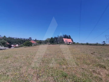 Terreno para Venda em Albergaria-A-Velha e Valmaior