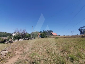 Terreno para Venda em Albergaria-A-Velha e Valmaior
