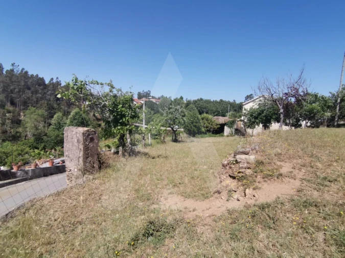 Terreno para Venda em Albergaria-A-Velha e Valmaior Foto 3