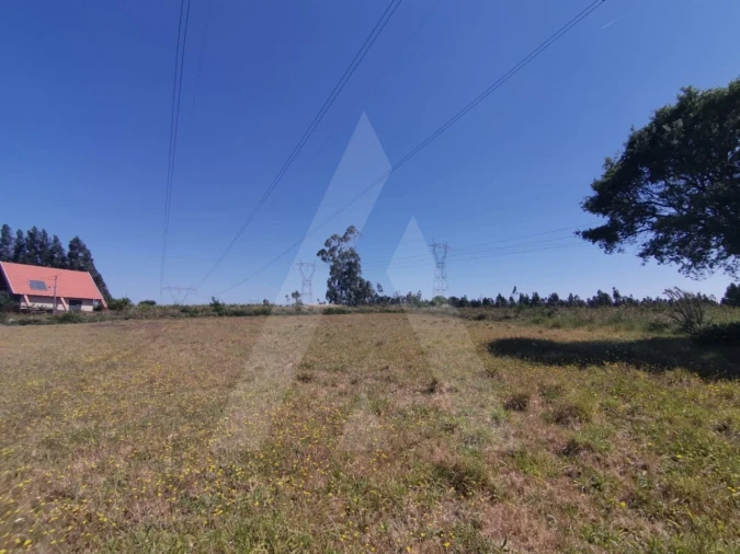 Terreno para Venda em Albergaria-A-Velha e Valmaior Foto 6
