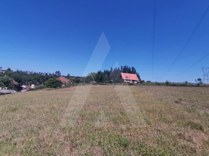Terreno para Venda em Albergaria-A-Velha e Valmaior Foto 7