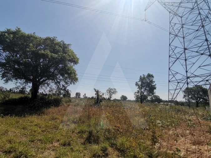 Terreno para Venda em Albergaria-A-Velha e Valmaior Foto 9