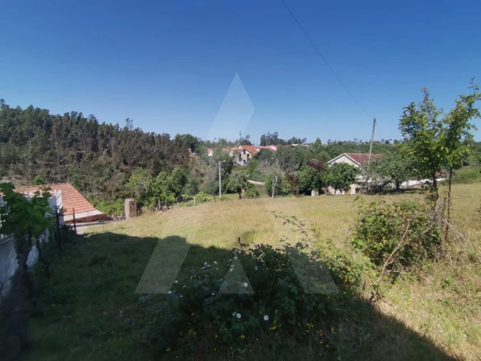 Terreno para Venda em Albergaria-A-Velha e Valmaior Foto 11
