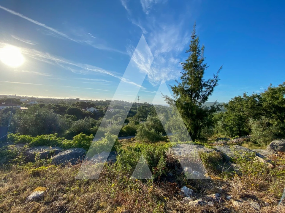Terreno para Venda em Alqueidão da Serra Foto 15