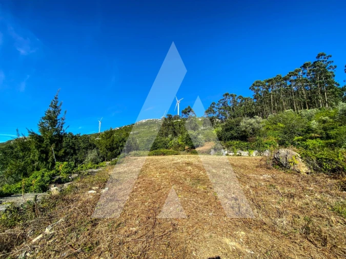 Terreno para Venda em Alqueidão da Serra Foto 17