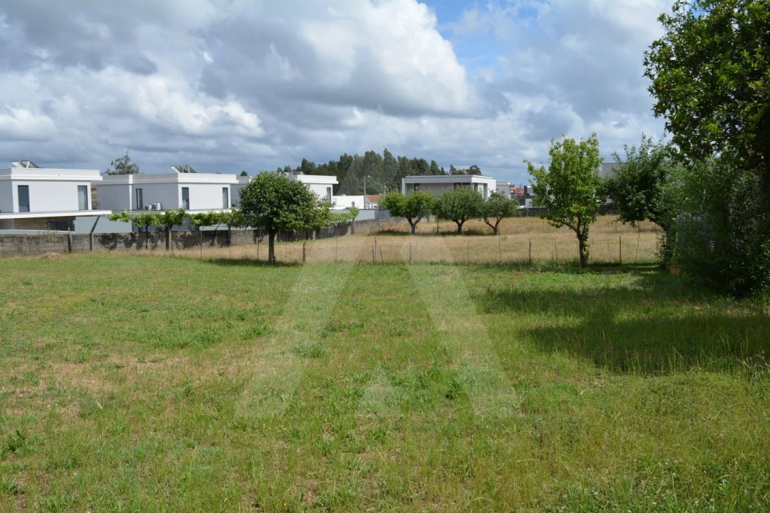 Terreno para Venda em Albergaria-A-Velha e Valmaior Foto 2