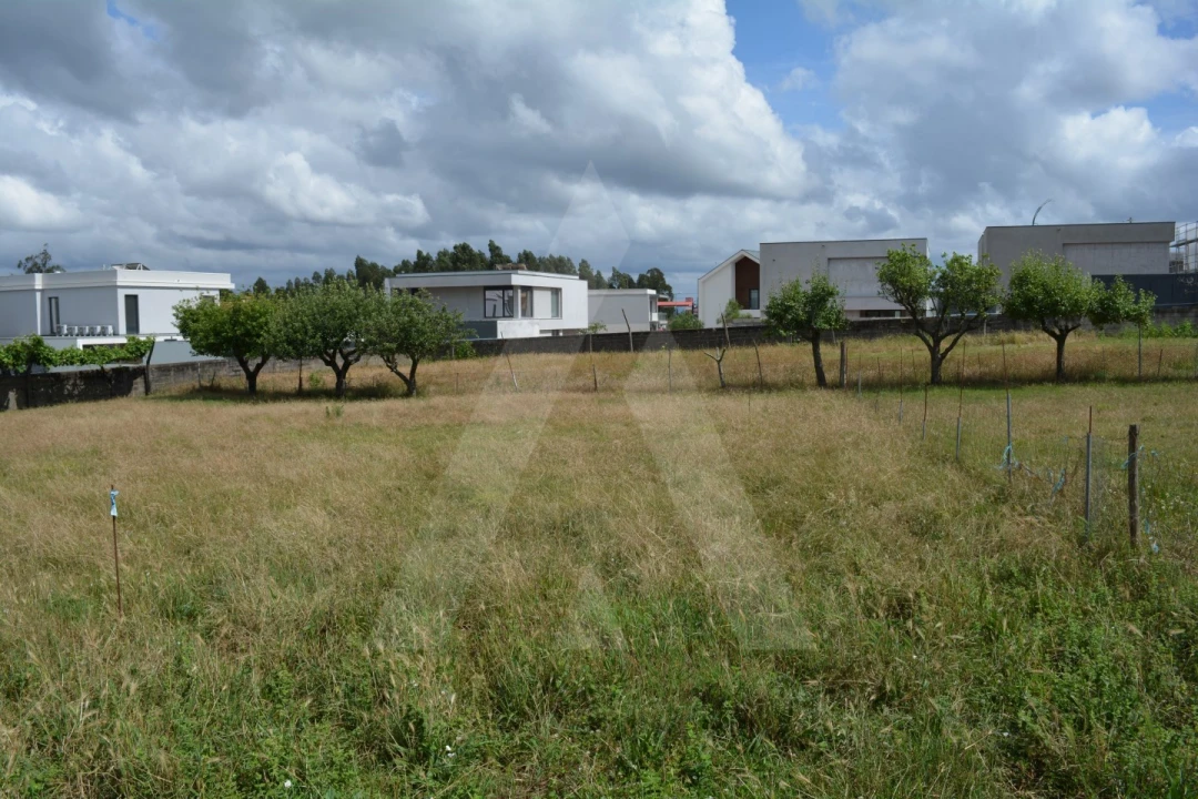 Terreno para Venda em Albergaria-A-Velha e Valmaior Foto 11