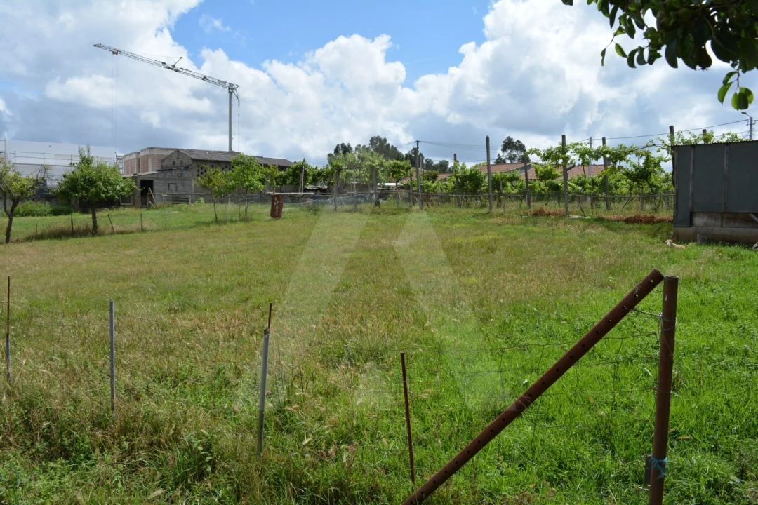 Terreno para Venda em Albergaria-A-Velha e Valmaior Foto 12