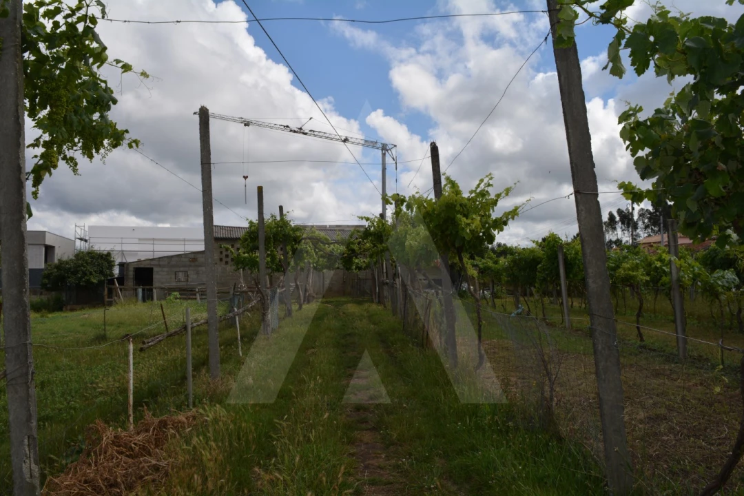 Terreno para Venda em Albergaria-A-Velha e Valmaior Foto 13