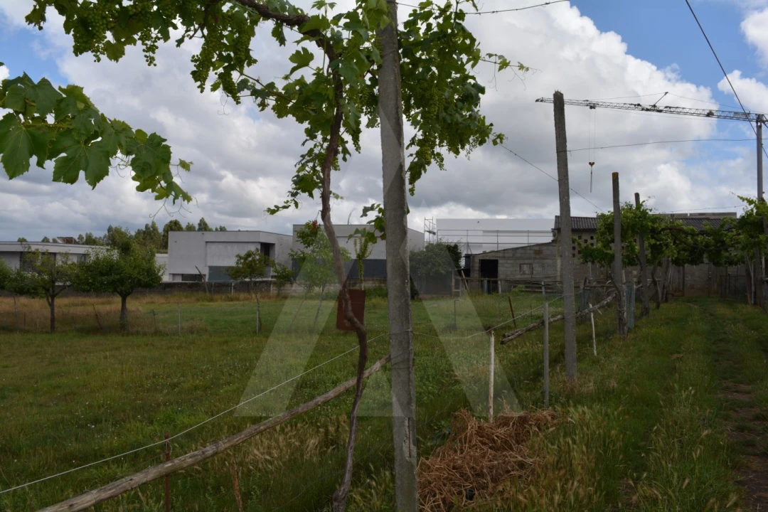 Terreno para Venda em Albergaria-A-Velha e Valmaior Foto 15