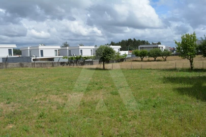 Terreno para Venda em Albergaria-A-Velha e Valmaior