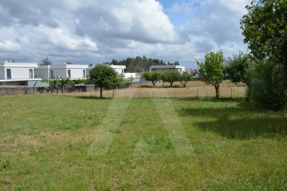 Terreno para Venda em Albergaria-A-Velha e Valmaior