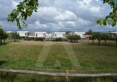 Terreno para Venda em Albergaria-A-Velha e Valmaior
