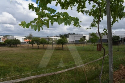 Terreno para Venda em Albergaria-A-Velha e Valmaior