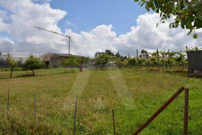 Terreno para Venda em Albergaria-A-Velha e Valmaior