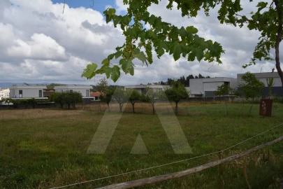 Terreno para Venda em Albergaria-A-Velha e Valmaior