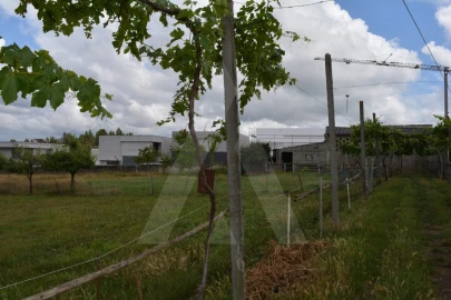 Terreno para Venda em Albergaria-A-Velha e Valmaior