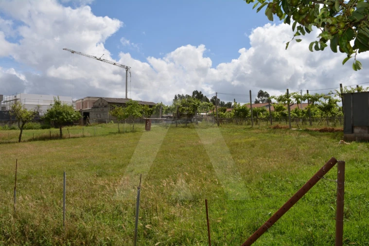 Terreno para Venda em Albergaria-A-Velha e Valmaior Foto 10