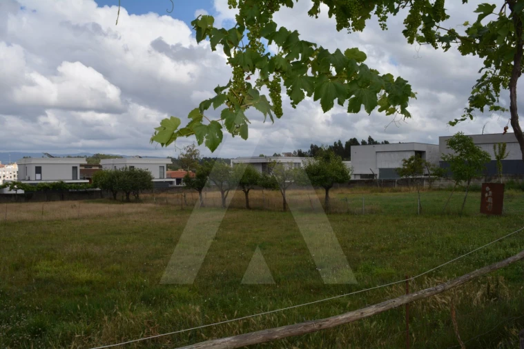 Terreno para Venda em Albergaria-A-Velha e Valmaior Foto 14