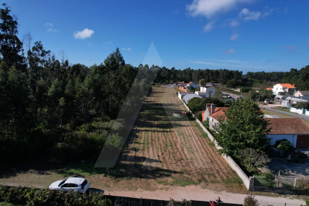 Terreno para Venda em Soza Foto 3
