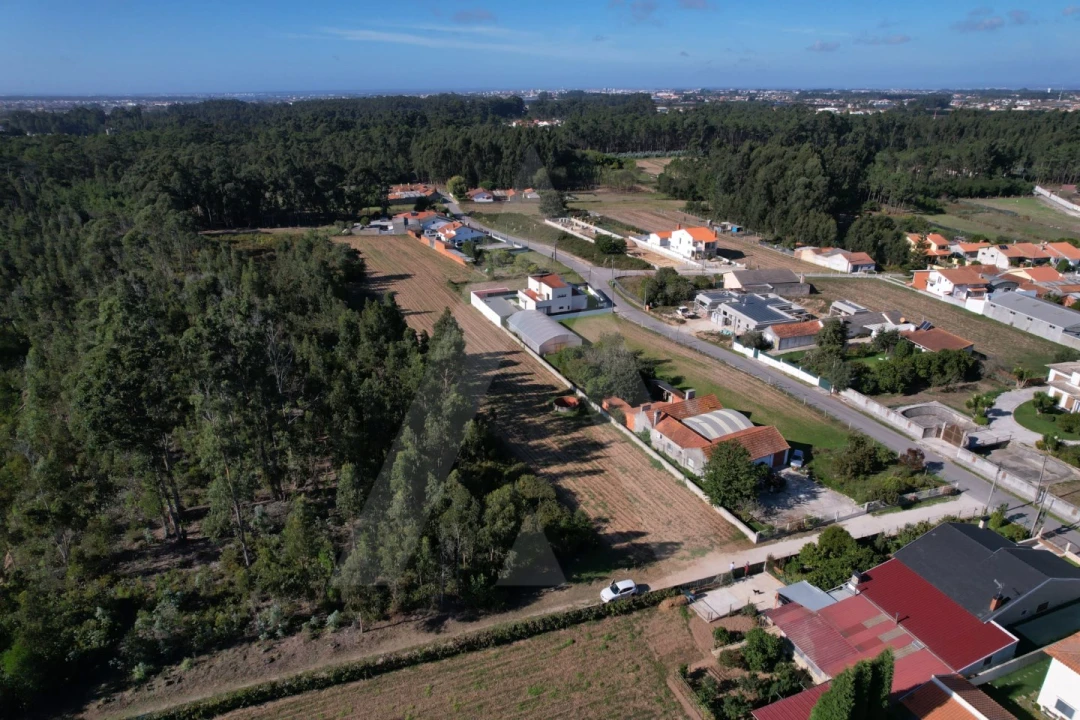 Terreno para Venda em Soza Foto 7