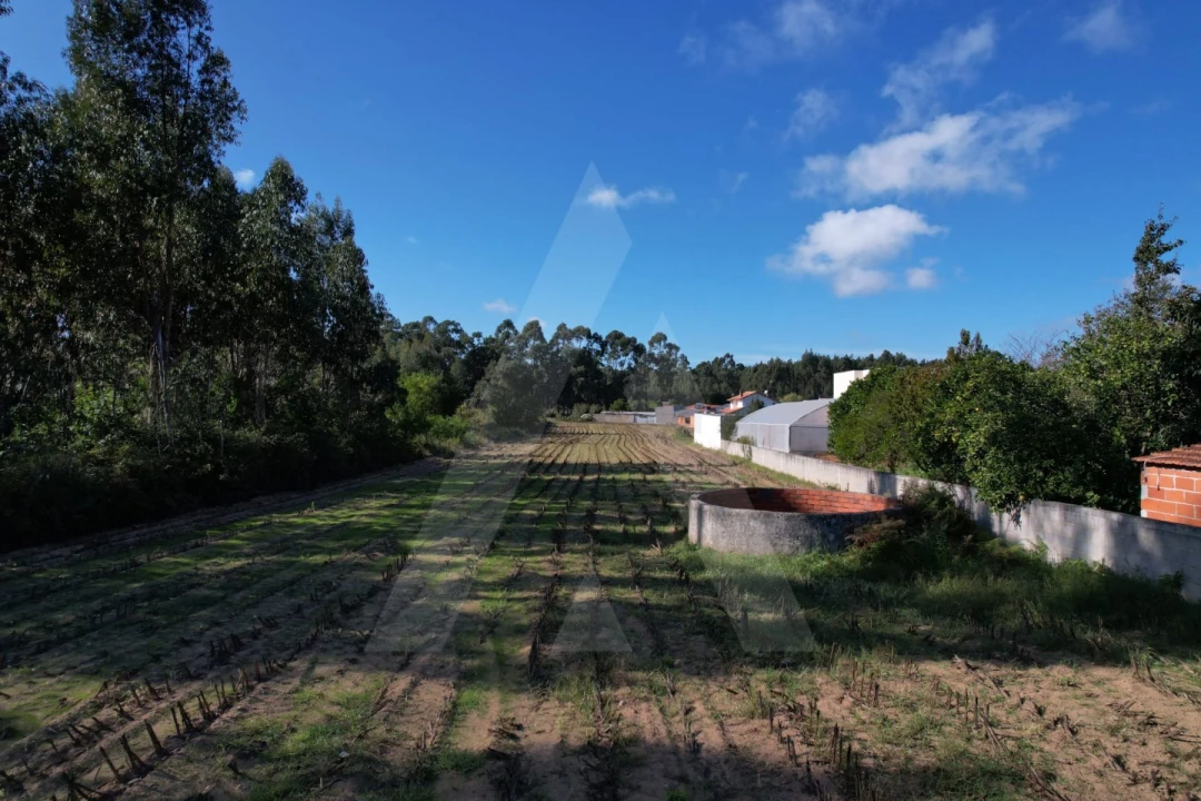 Terreno para Venda em Soza Foto 1