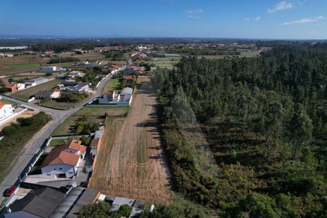 Terreno para Venda em Soza Foto 8