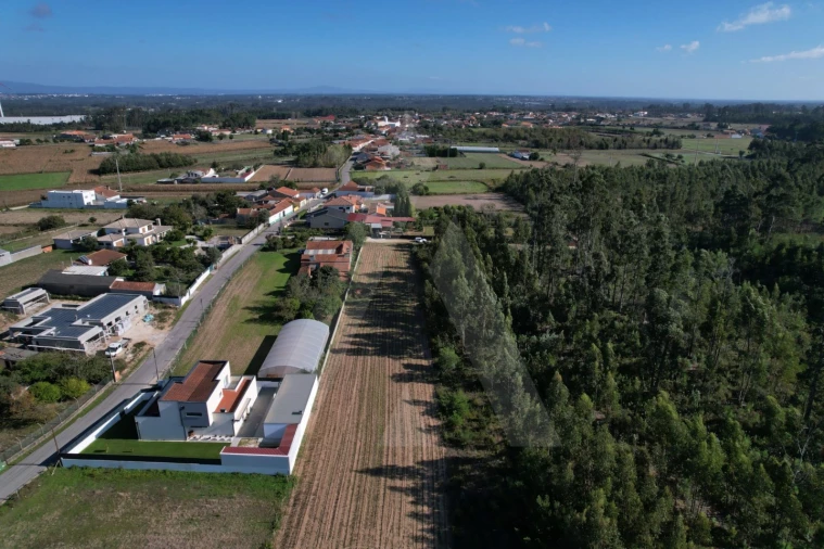 Terreno para Venda em Soza Foto 5
