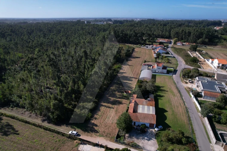 Terreno para Venda em Soza Foto 6