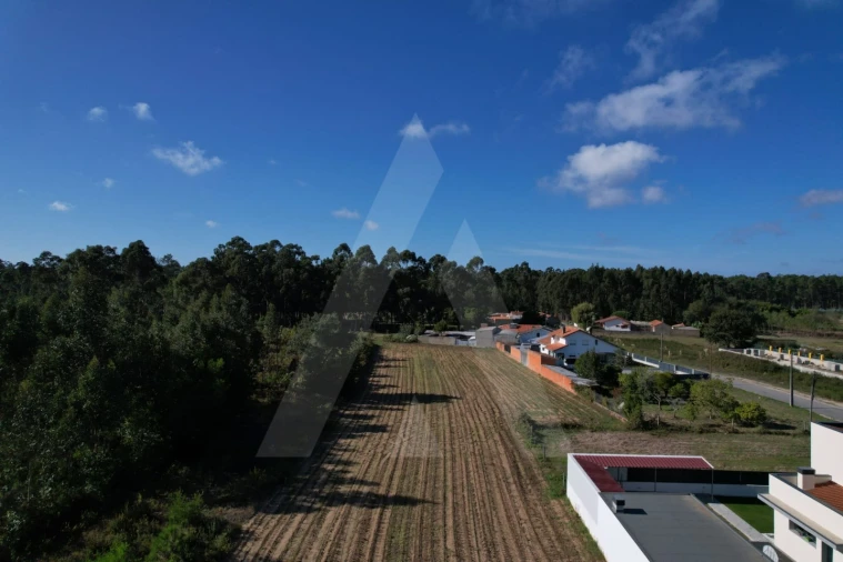 Terreno para Venda em Soza Foto 2