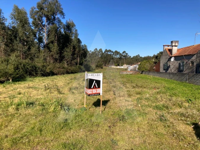 Terreno para Venda em Soza Foto 9