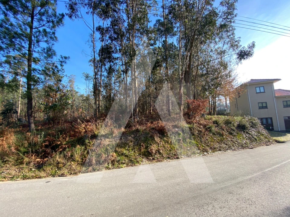 Terreno para Venda em São Miguel do Souto e Mosteirô Foto 1