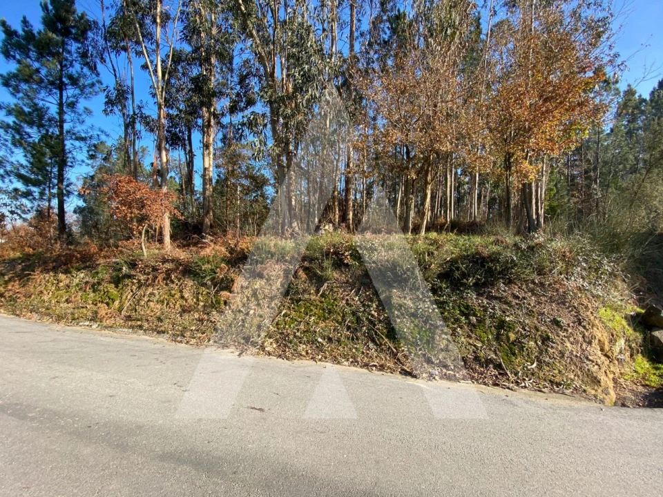 Terreno para Venda em São Miguel do Souto e Mosteirô Foto 3