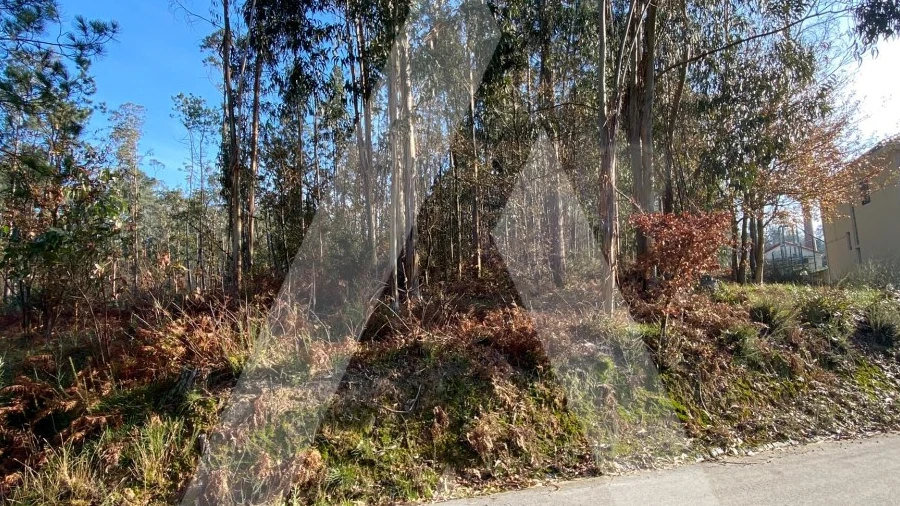 Terreno para Venda em São Miguel do Souto e Mosteirô