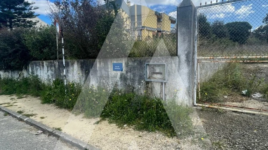 Terreno para Venda em Amora
